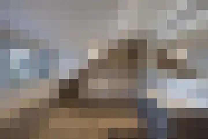 Boslaan 2 Huizen thumbnail 29
