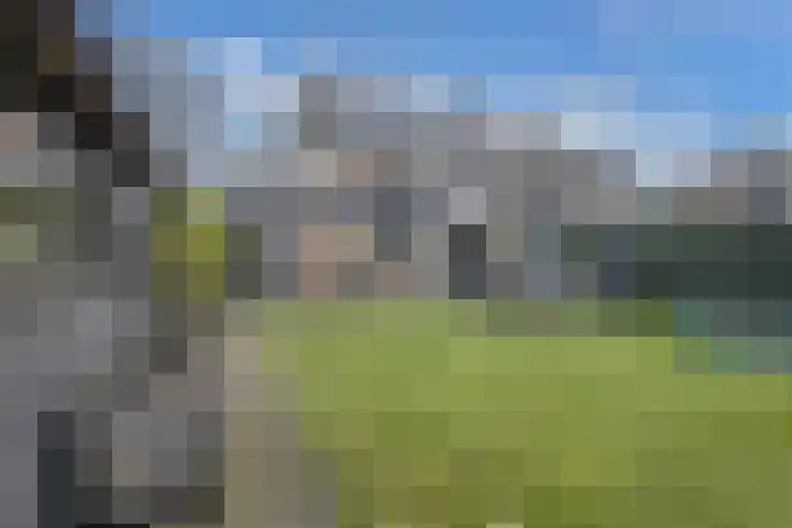 Boslaan 2 Huizen thumbnail 33