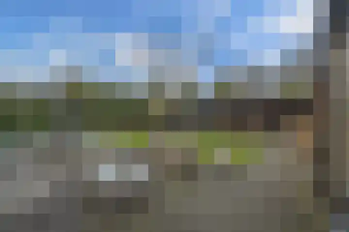 Boslaan 2 Huizen thumbnail 34