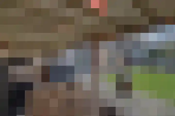 Boslaan 2 Huizen thumbnail 36