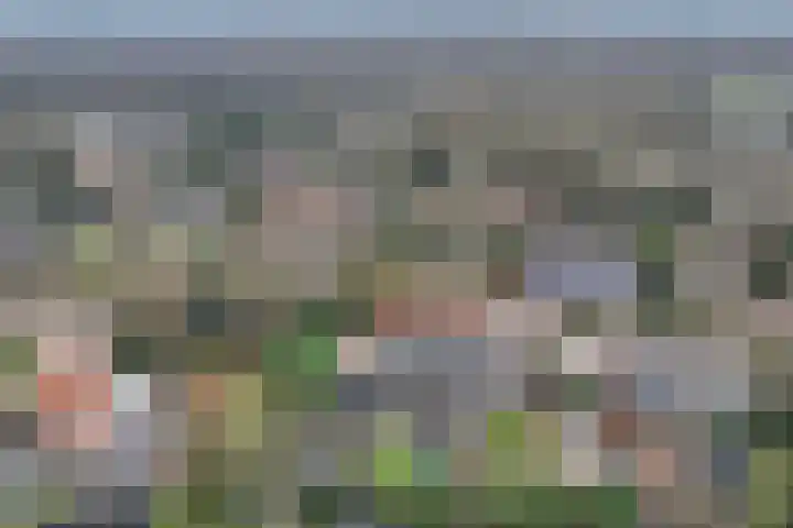 Boslaan 2 Huizen thumbnail 37