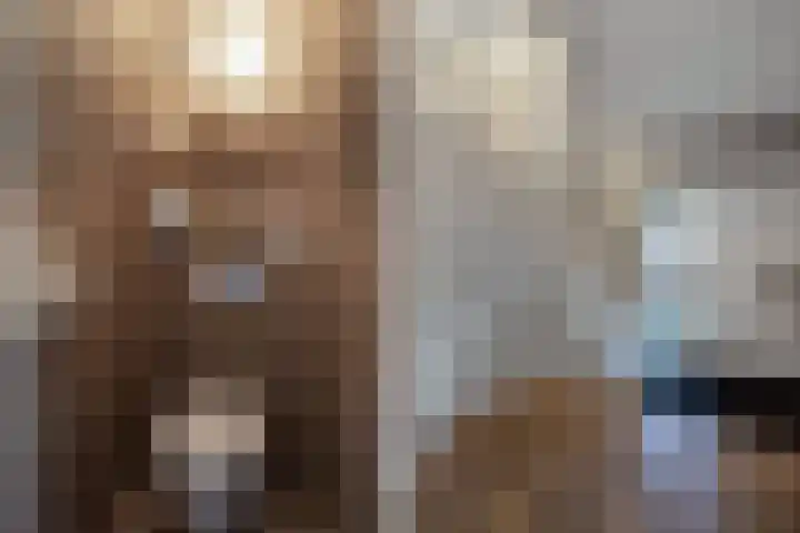 Boslaan 2 Huizen thumbnail 6