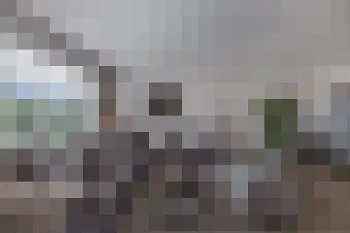 Boslaan 2 Huizen thumbnail 7