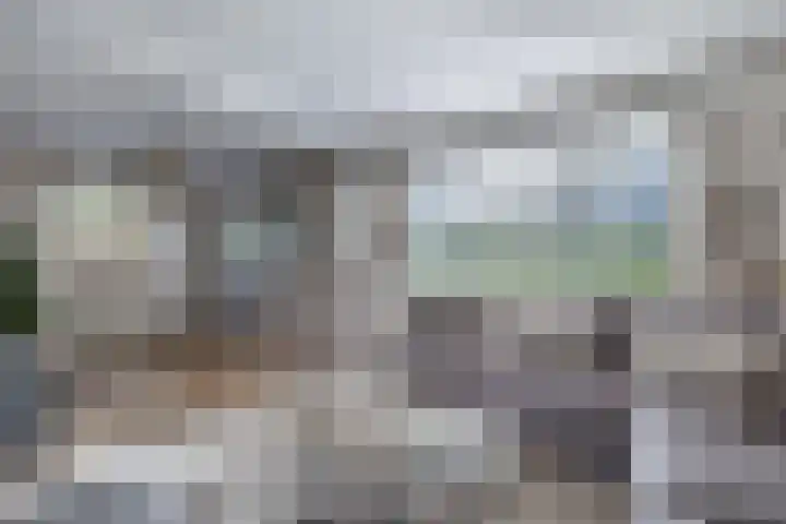 Boslaan 2 Huizen thumbnail 8