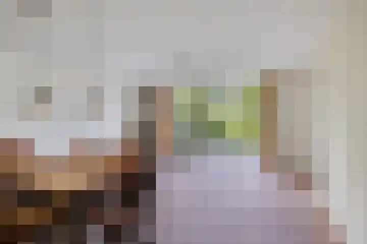 Boslaan 22 Appelscha thumbnail 11