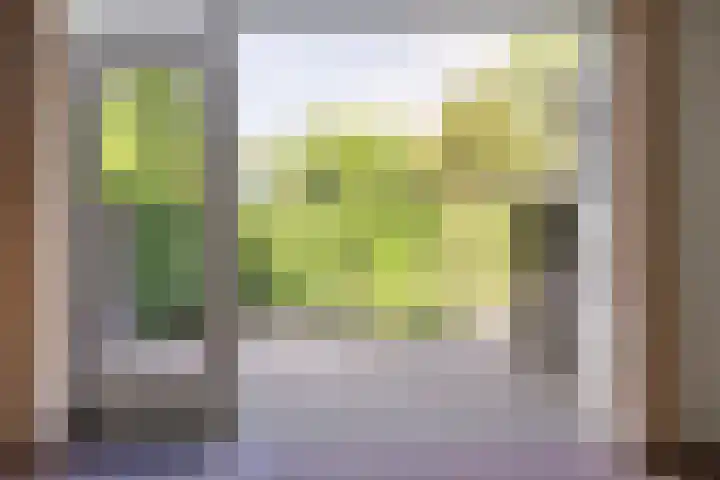 Boslaan 22 Appelscha thumbnail 17