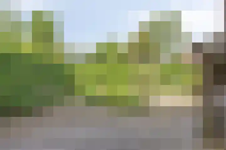 Boslaan 22 Appelscha thumbnail 18