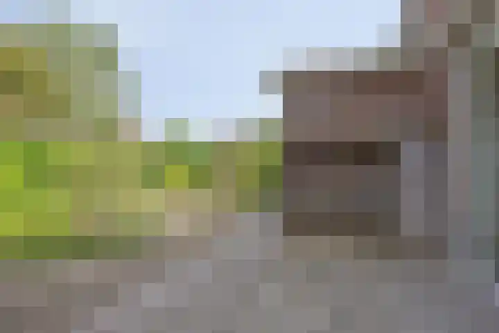 Boslaan 22 Appelscha thumbnail 32