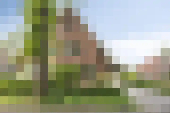 Boslaan 22 Appelscha thumbnail 35