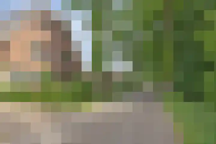 Boslaan 22 Appelscha thumbnail 36