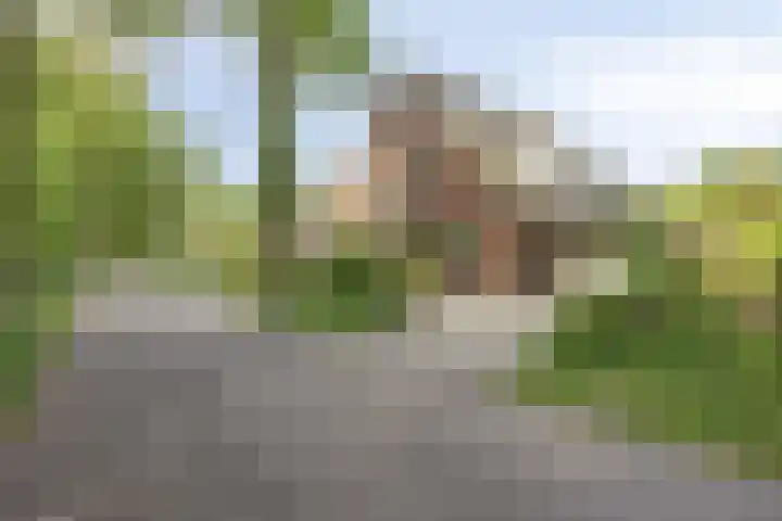 Boslaan 22 Appelscha thumbnail 37