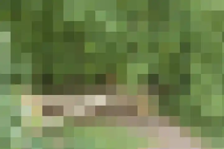 Boslaan 22 Appelscha thumbnail 38