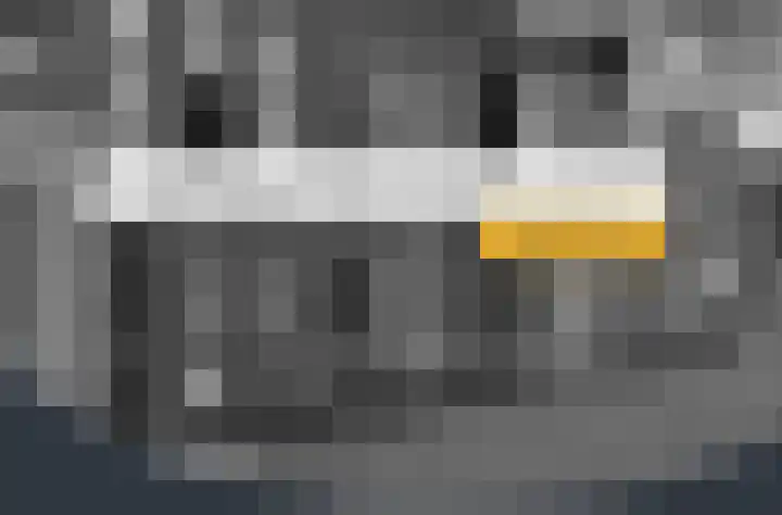 Boslaan 22 Appelscha thumbnail 4