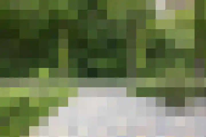 Boslaan 22 Appelscha thumbnail 8