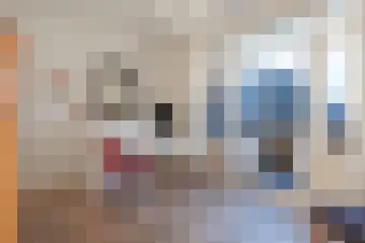 Boslaan 32 Bussum thumbnail 22