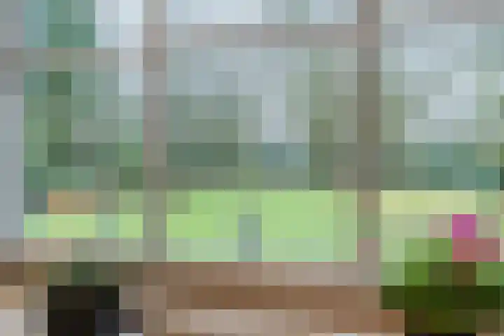 Boslaan 37 Dorst thumbnail 21