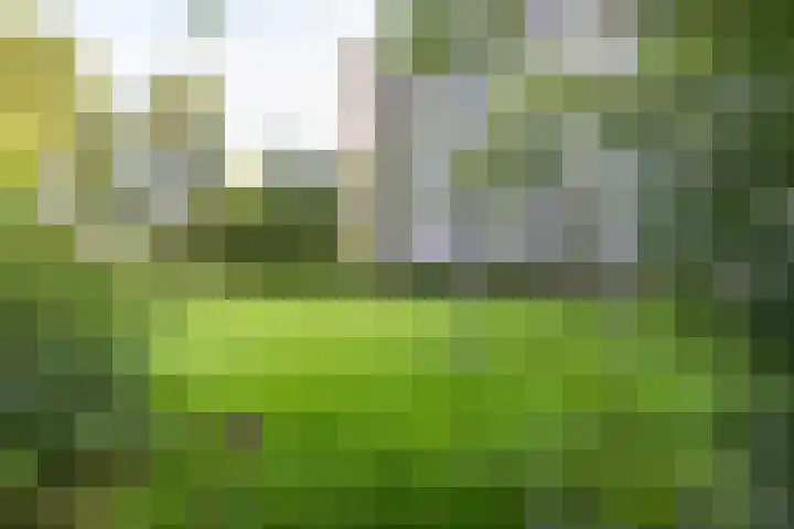Boslaan 37 Dorst thumbnail 22