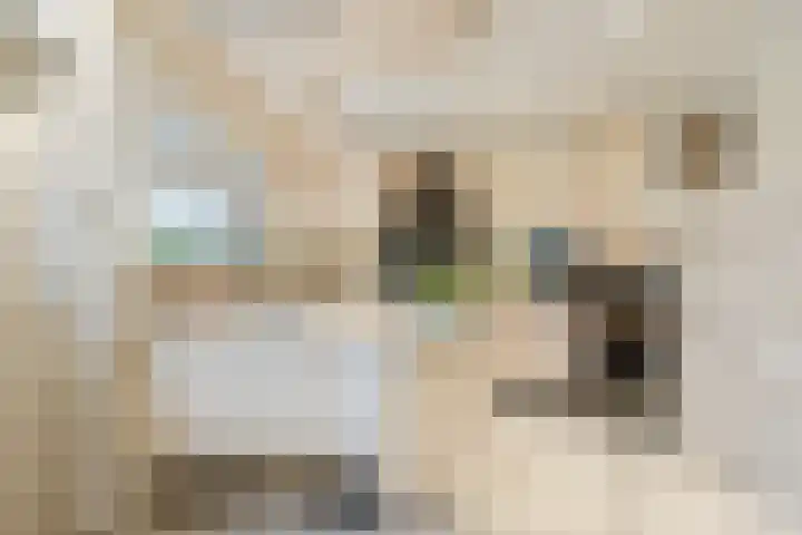 Boslaan 37 Dorst thumbnail 22