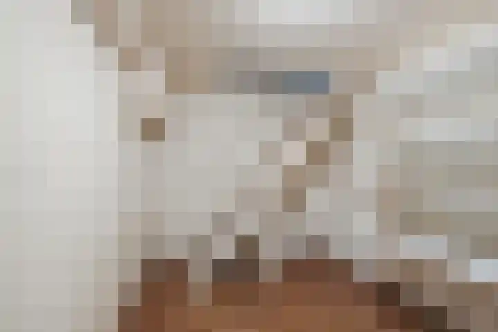 Boslaan 37 Dorst thumbnail 23