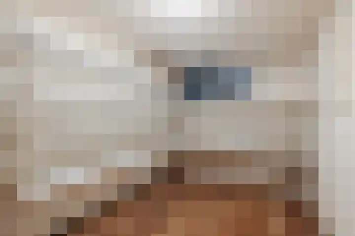 Boslaan 37 Dorst thumbnail 24