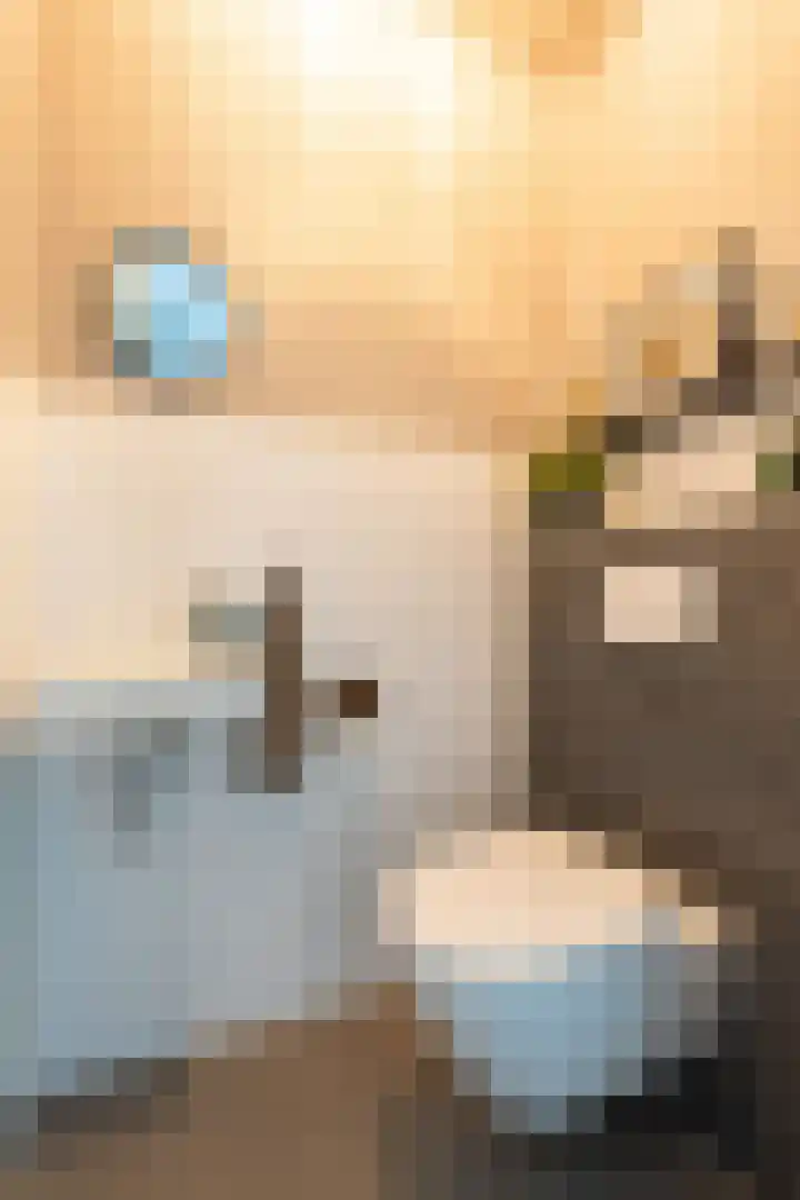 Boslaan 37 Dorst thumbnail 33