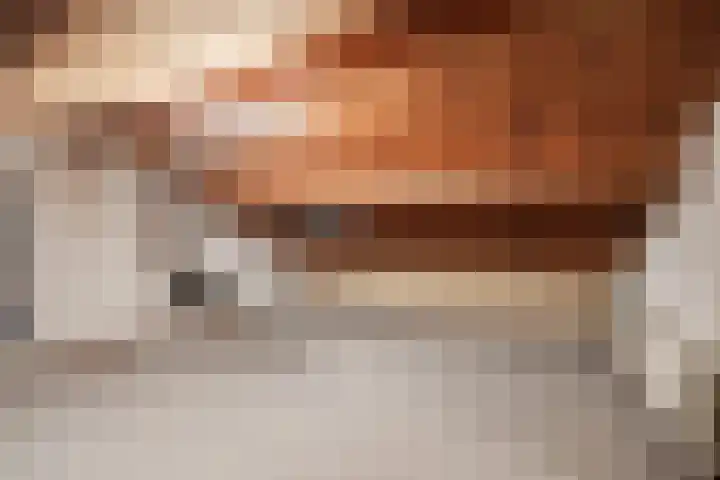 Boslaan 37 Dorst thumbnail 41