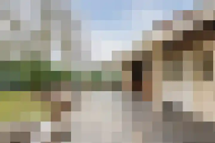 Boslaan 37 Dorst thumbnail 42