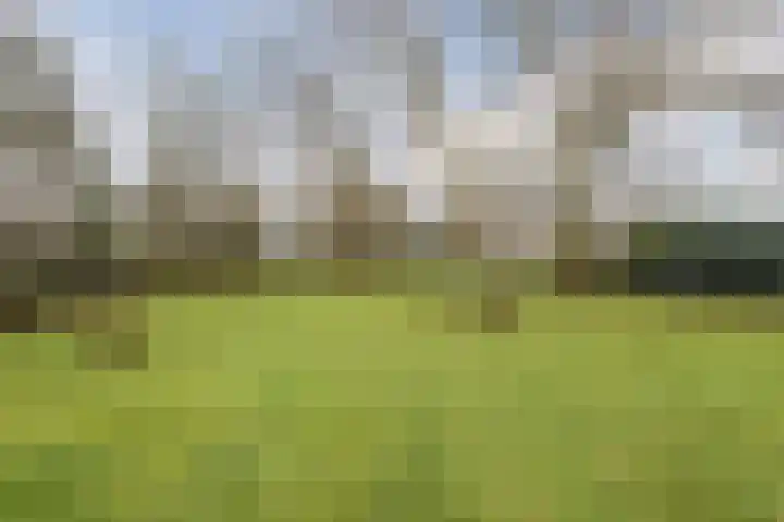 Boslaan 37 Dorst thumbnail 46