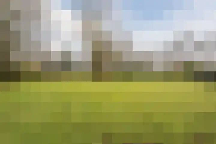 Boslaan 37 Dorst thumbnail 47