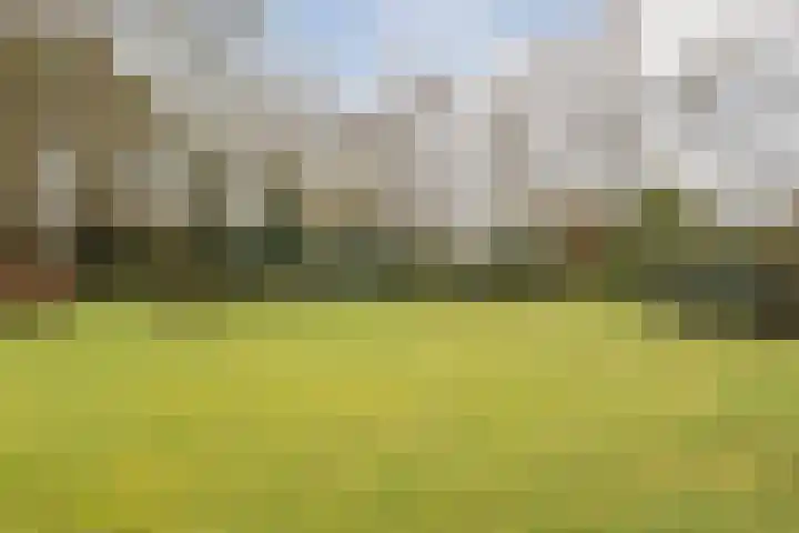 Boslaan 37 Dorst thumbnail 48