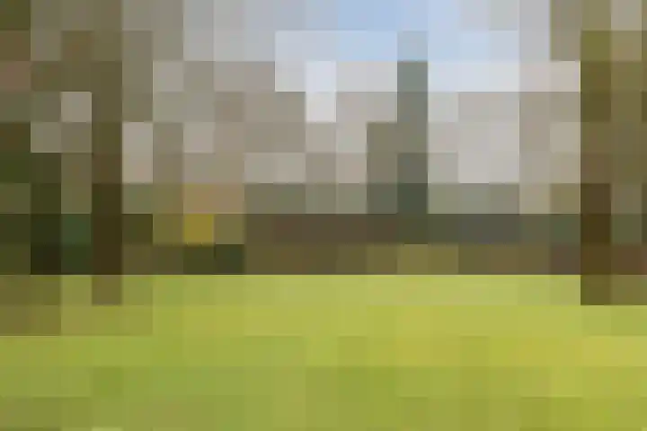 Boslaan 37 Dorst thumbnail 49