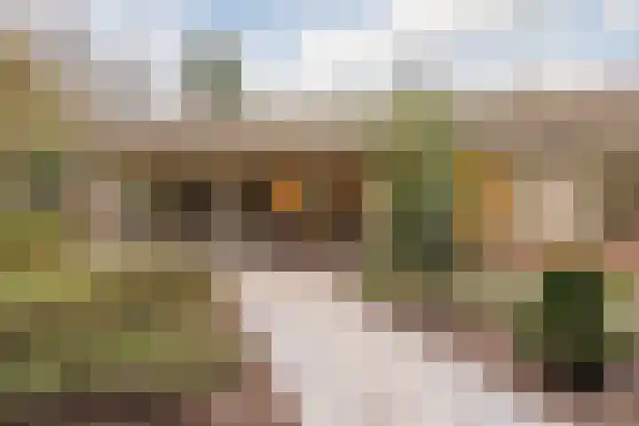 Boslaan 37 Dorst thumbnail 5
