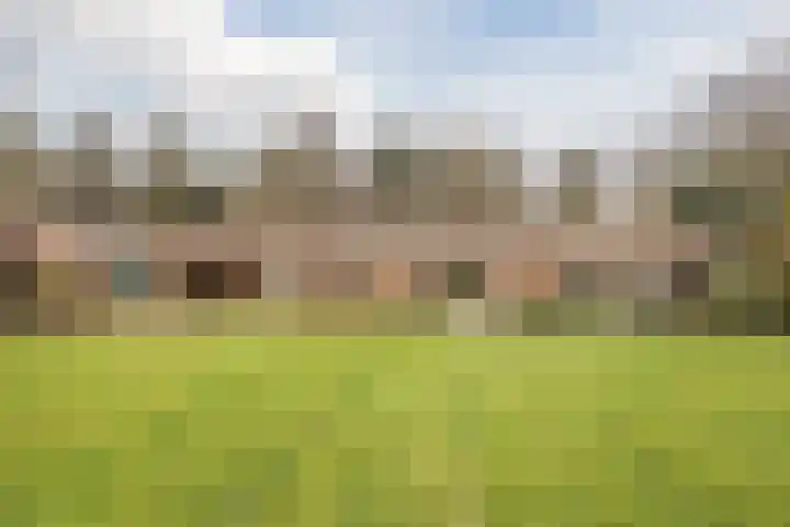Boslaan 37 Dorst thumbnail 50
