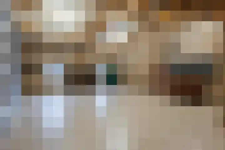 Boslaan 37 Dorst thumbnail 54