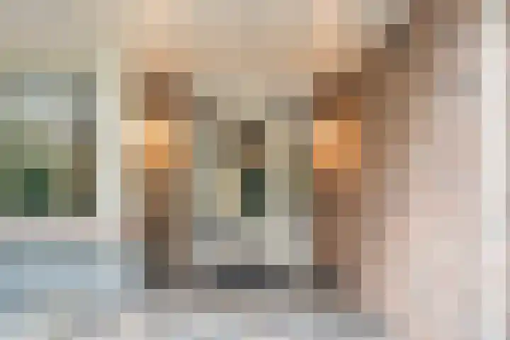 Boslaan 37 Dorst thumbnail 6