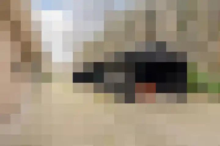 Boslaan 37 Dorst thumbnail 63