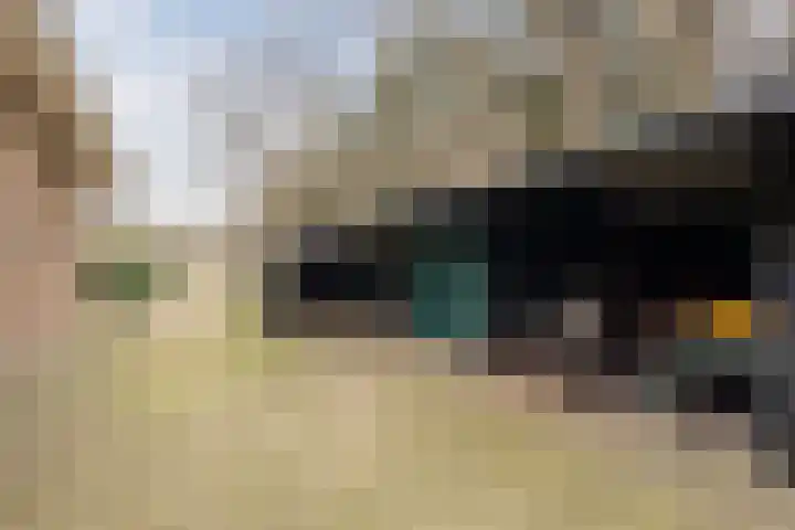 Boslaan 37 Dorst thumbnail 64