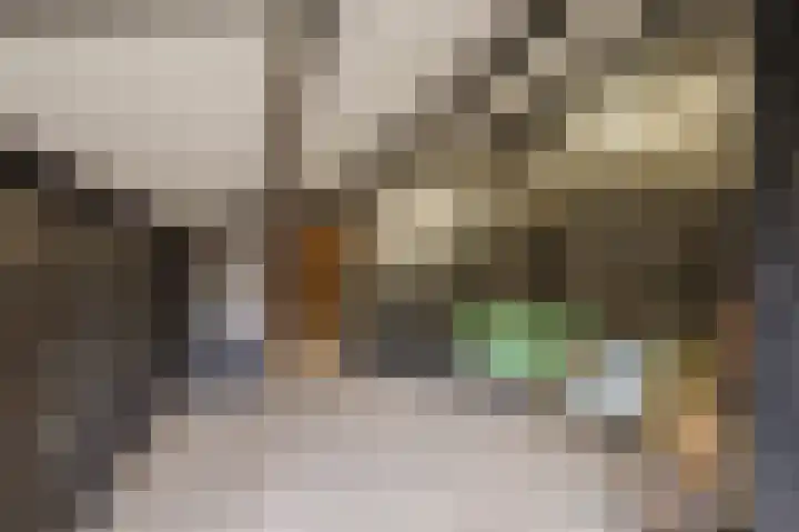 Boslaan 37 Dorst thumbnail 65