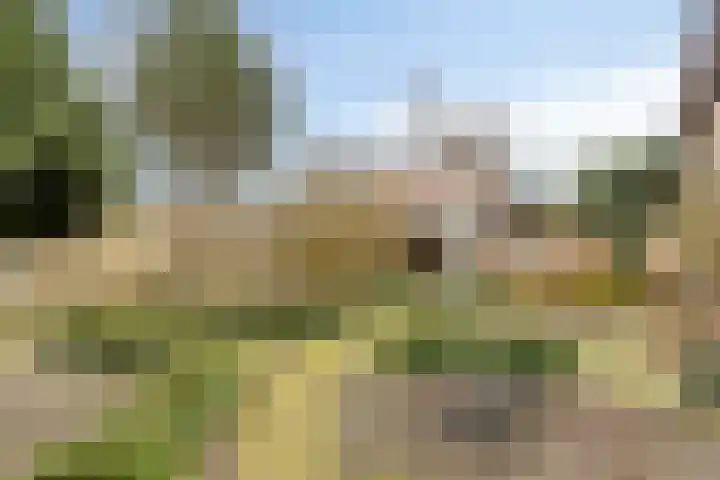 Boslaan 37 Dorst thumbnail 69