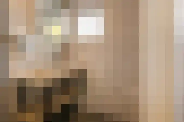Boslaan 37 Dorst thumbnail 74