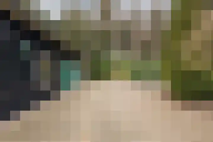 Boslaan 37 Dorst thumbnail 76