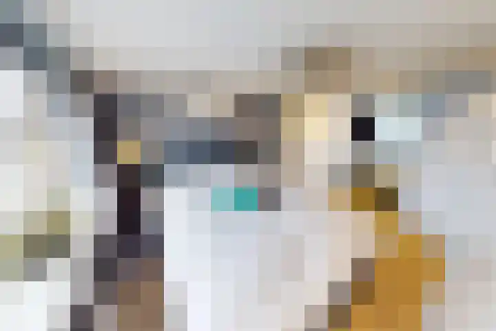 Boslaan 37 Dorst thumbnail 77