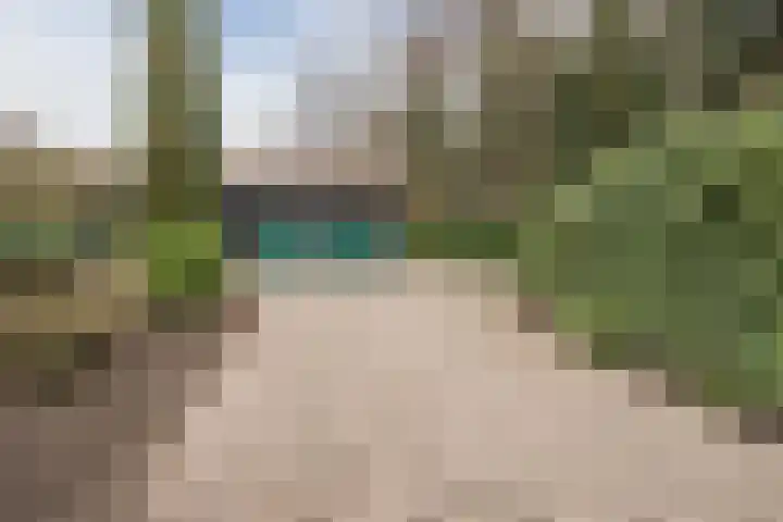 Boslaan 37 Dorst thumbnail 78