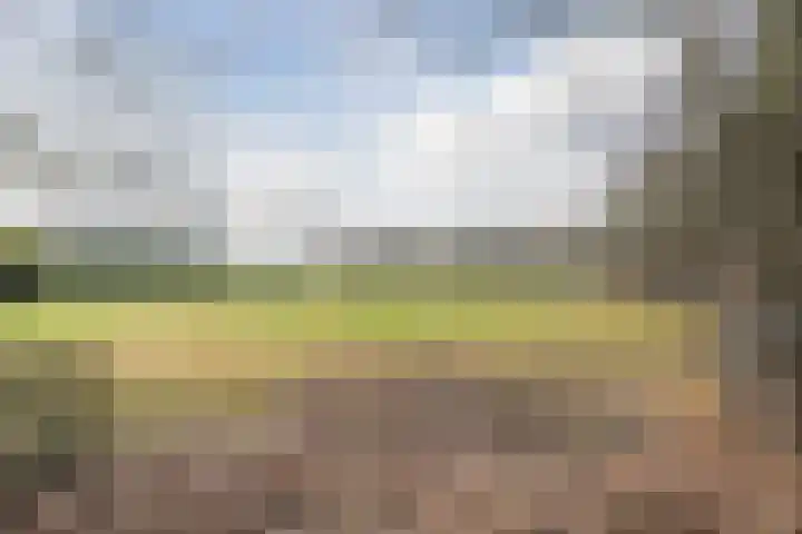 Boslaan 37 Dorst thumbnail 80