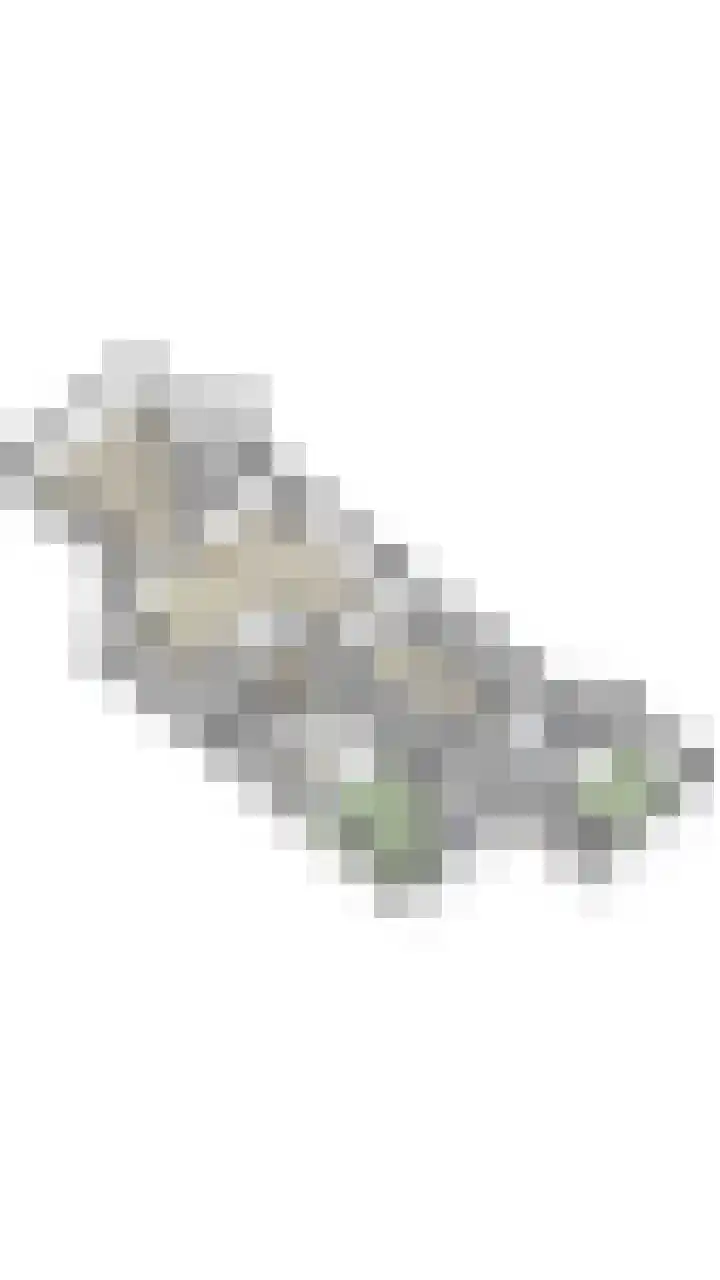 Boslaan 37 Dorst thumbnail 88