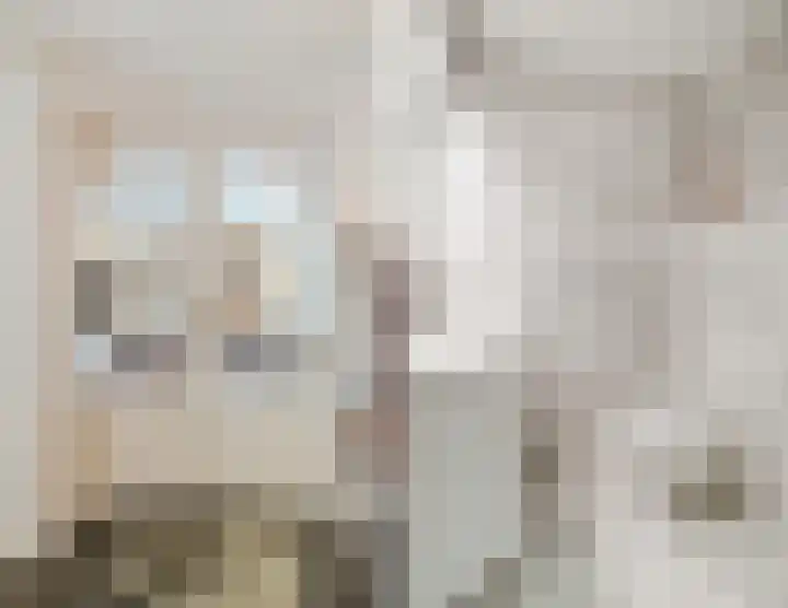 Boslaan 37 Dorst thumbnail 9