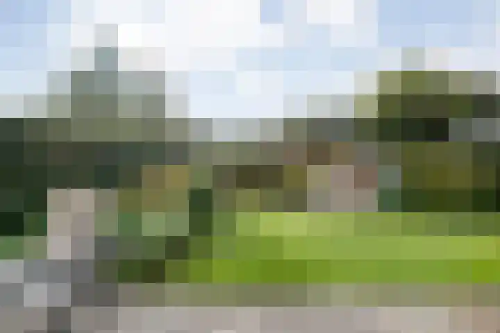Boslaan 38 Balkbrug thumbnail 31