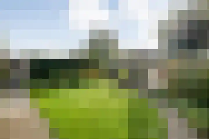 Boslaan 38 Balkbrug thumbnail 32