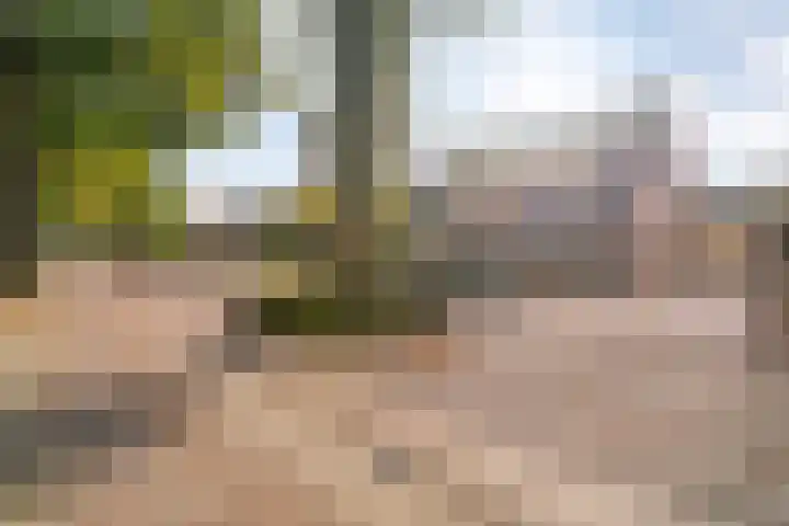 Boslaan 38 Balkbrug thumbnail 38