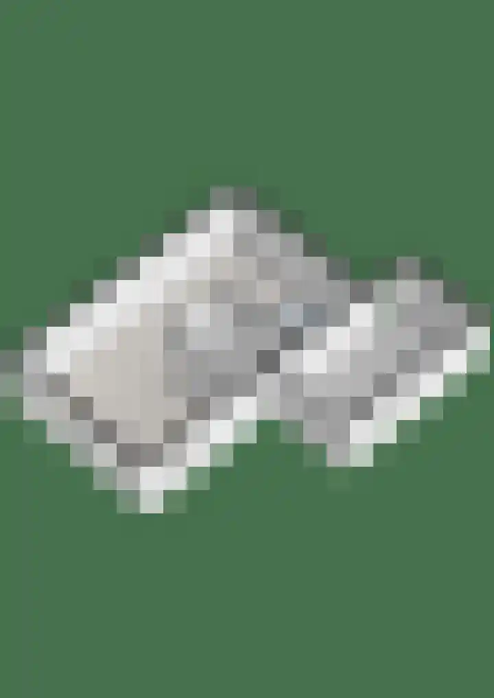 Boslaan 38 Balkbrug thumbnail 44